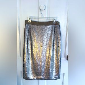 Banana Republic Pewter Sequin Knee Length Pencil Skirt Size 6